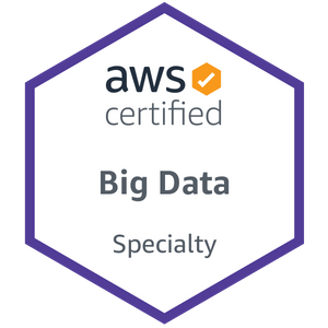 Big Data – Specialty