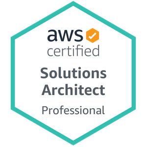 Solutions Architect – Professional
